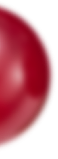 buah cranberry
