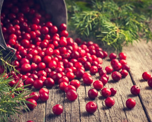 Nikmati Manfaat dan Enaknya Cranberry Selain Dijadikan Jus