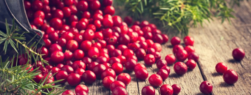 Nikmati Manfaat dan Enaknya Cranberry Selain Dijadikan Jus